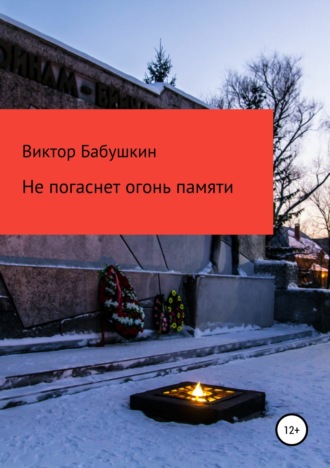 Обложка книги «Не погаснет огонь Памяти»