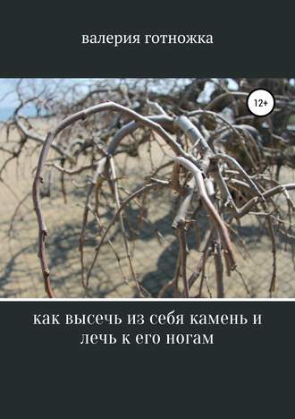 Обложка книги «Как высечь из себя камень и лечь к его ногам»