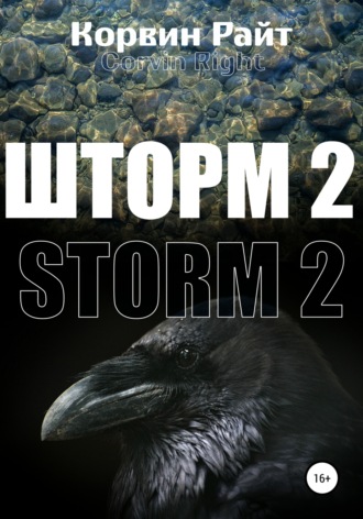 Обложка книги «Шторм-2»