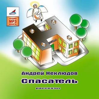 Обложка книги «Спасатель»