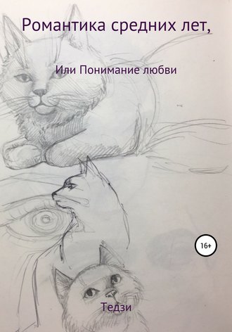 Обложка книги «Романтика средних лет, или Понимание любви»