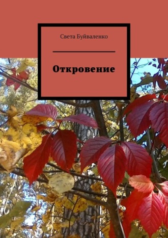Обложка книги «Откровение»