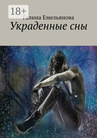 Обложка книги «Украденные сны»