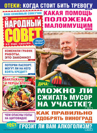 Обложка книги «Народный совет №32/2019»