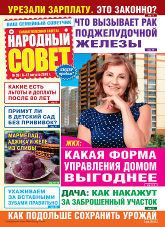 Обложка книги «Народный совет №33/2019»