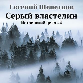 Обложка книги «Серый властелин»