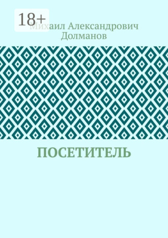 Обложка книги «Посетитель»