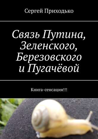 Сергей Приходько. Связь Путина, Зеленского, Березовского и Пугачёвой. Книга-сенсация!!!