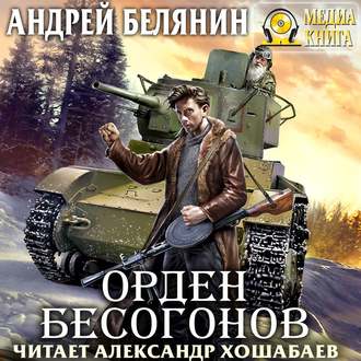Обложка книги «Орден бесогонов»