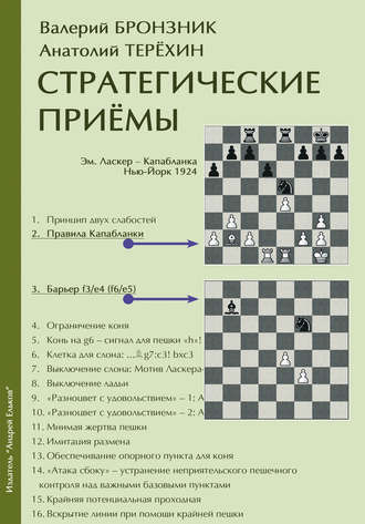 Валерий Бронзник. Стратегические приёмы