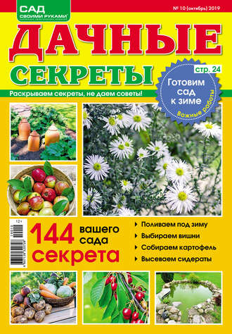Обложка книги «Сад своими руками. Дачные секреты №10/2019»