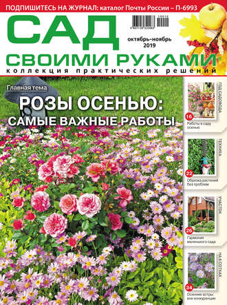Обложка книги «Сад своими руками №10-11/2019»