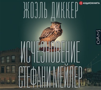 Обложка книги «Исчезновение Стефани Мейлер»