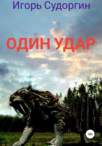 Обложка книги «Один удар»