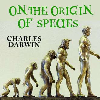 Обложка книги «On the Origin of Species»