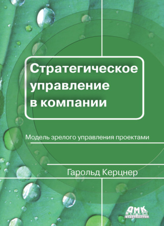 Обложка книги «Стратегическое управление в компании»