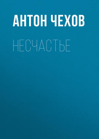 Обложка книги «Несчастье»