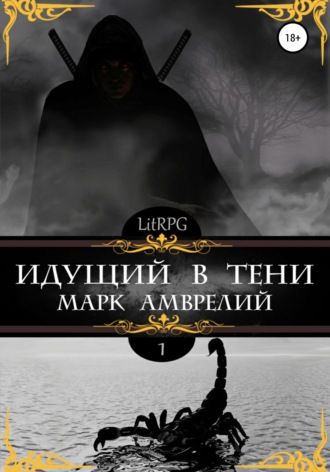 Обложка книги «Идущий в тени»