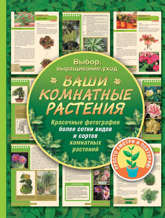 Обложка книги «Ваши комнатные растения»
