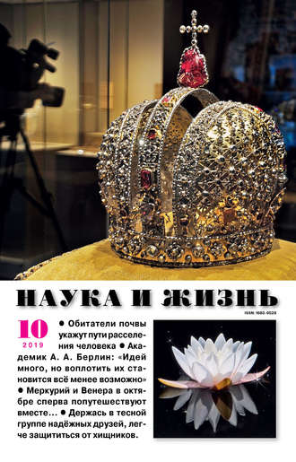 Обложка книги «Наука и жизнь №10/2019»