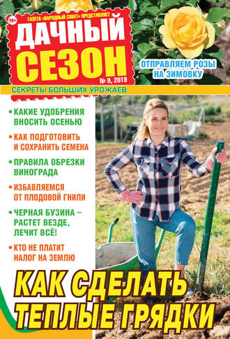 Обложка книги «Дачный сезон №09/2019»