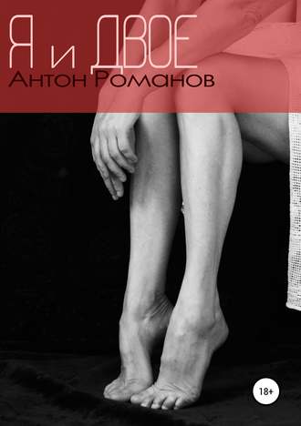 Обложка книги «Я и двое»