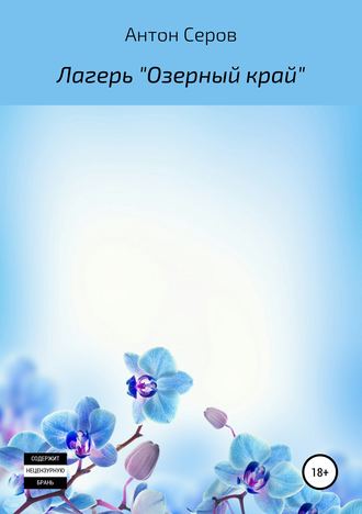 Обложка книги «Лагерь «Озерный край»»