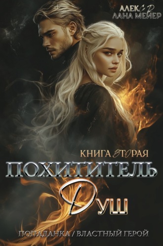 Обложка книги «Похититель душ 2»