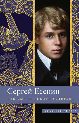 Обложка книги «Как умеет любить хулиган…»
