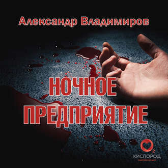 Обложка книги «Ночное предприятие»