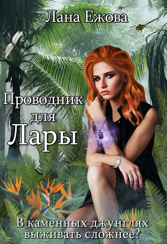 Обложка книги «Проводник для Лары»