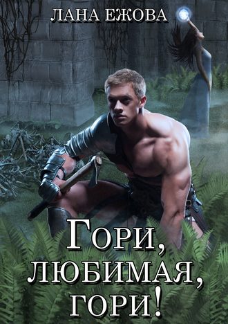 Обложка книги «Гори, любимая, гори!»