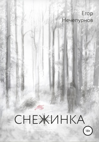 Обложка книги «Снежинка»