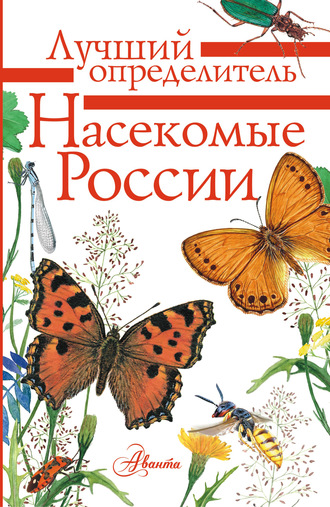 Обложка книги «Насекомые России»