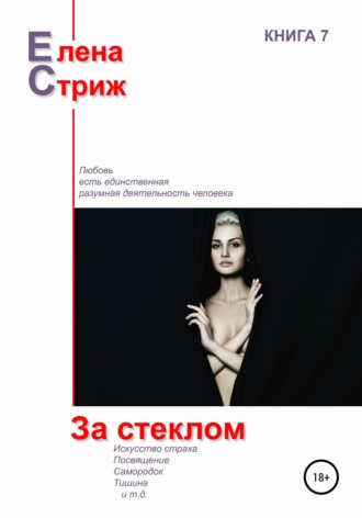 Обложка книги «За стеклом»