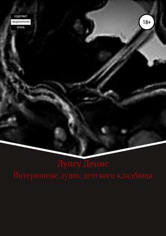 Обложка книги «Потерянные души детского кладбища»