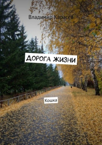 Обложка книги «Дорога жизни. Кошка»