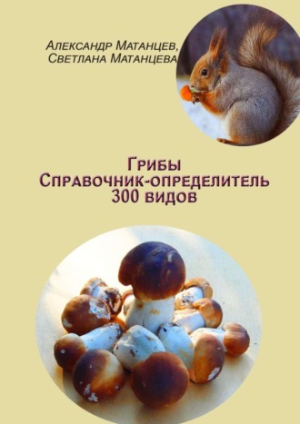Обложка книги «Грибы. Справочник-определитель 300 видов»