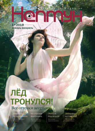 Обложка книги «Нептун №1/2019»