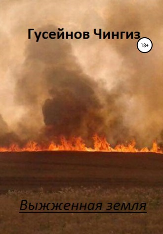 Обложка книги «Выжженная земля»