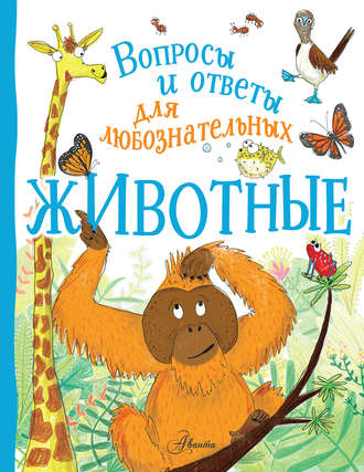 Обложка книги «Животные»
