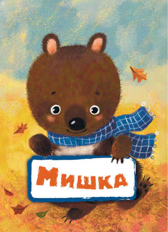 Обложка книги «Мишка»