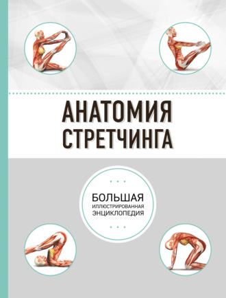 Обложка книги «Анатомия стретчинга»