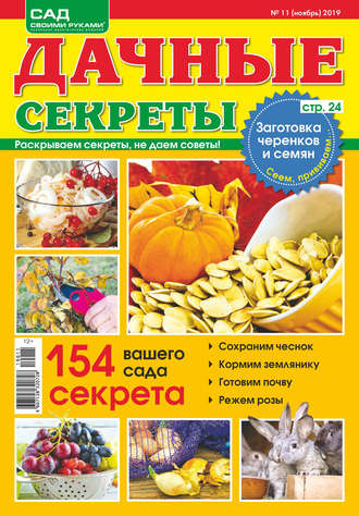 Обложка книги «Сад своими руками. Дачные секреты №11/2019»