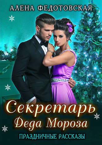 Обложка книги «Секретарь Деда Мороза»