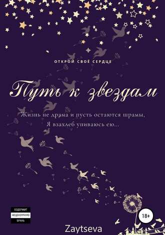 Обложка книги «Путь к звёздам»