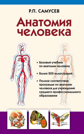 Обложка книги «Анатомия человека»
