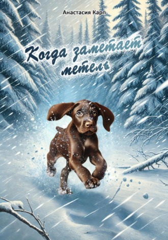 Обложка книги «Когда заметает метель»