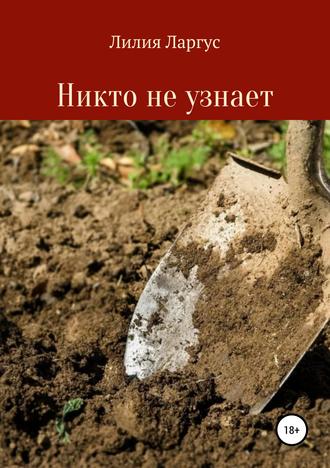 Обложка книги «Никто не узнает»