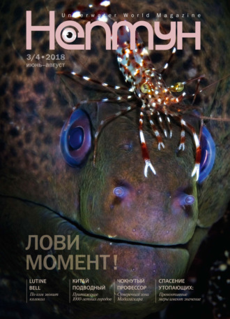 Обложка книги «Нептун №3-4/2018»